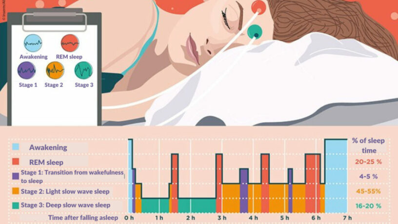 Sleep cycles graph