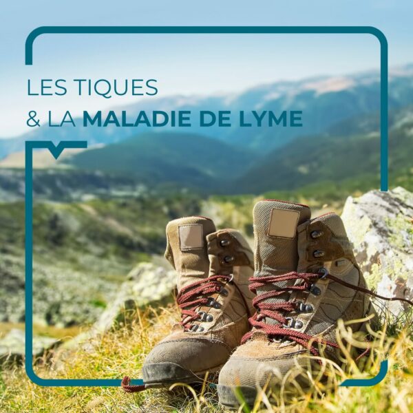 Chaussures de randonnée juste devant un paysage de montagne