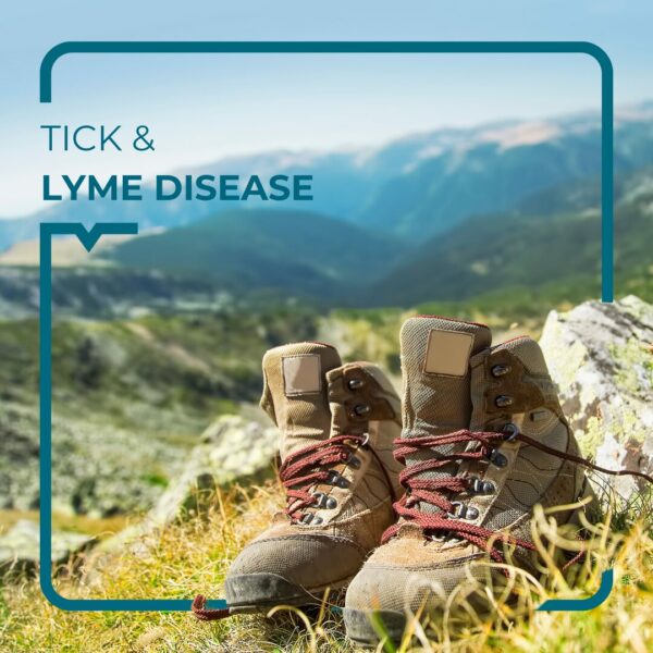 Hiking shoes in front of a mountain landscape